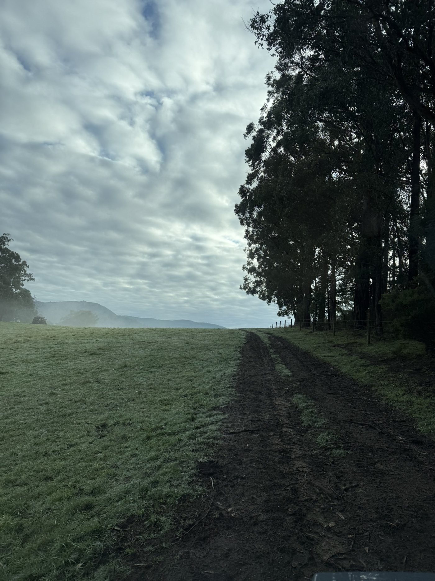 Wet pasture and track at Manna Grove