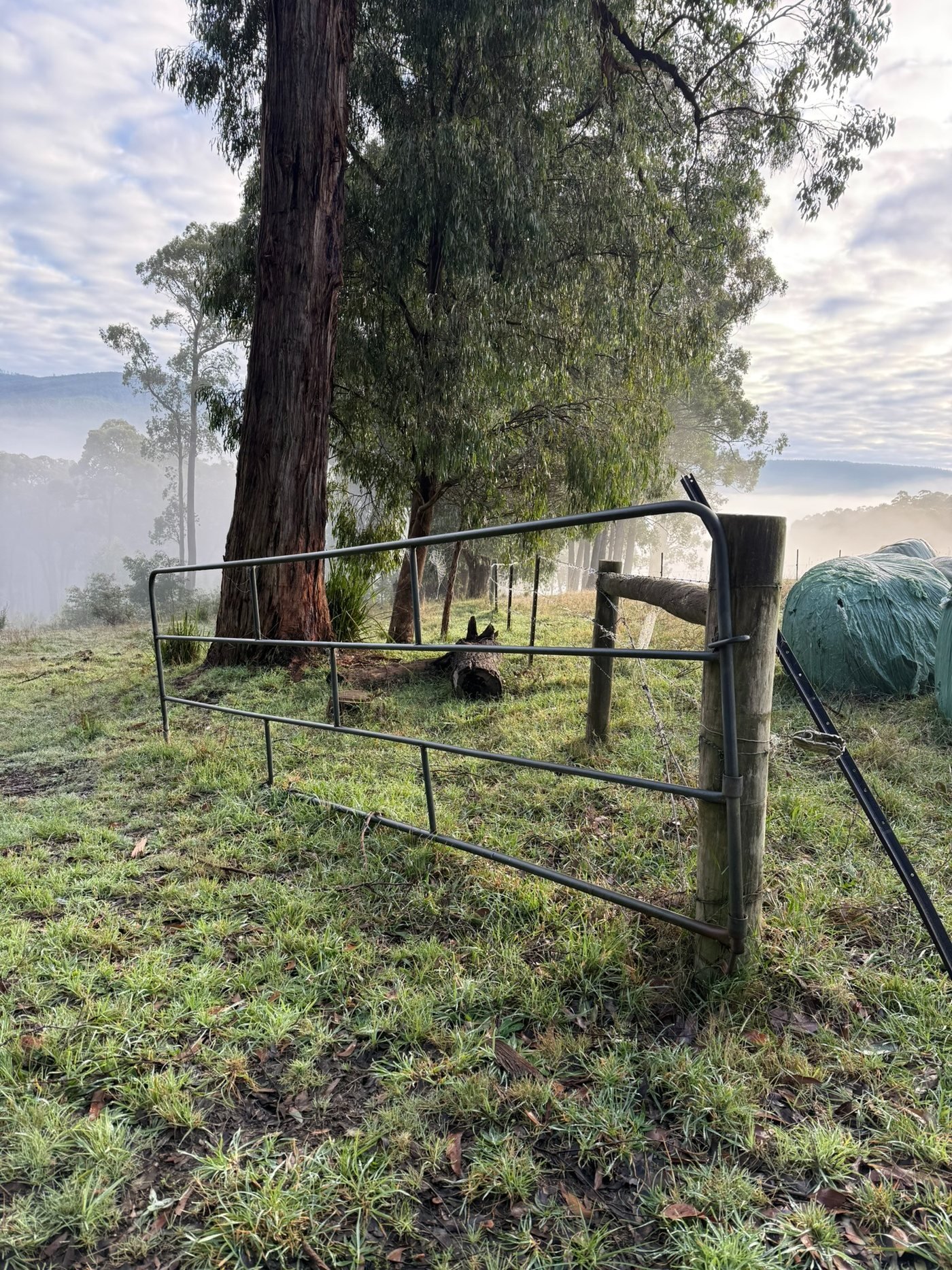 Gate and working landscape at Manna Grove